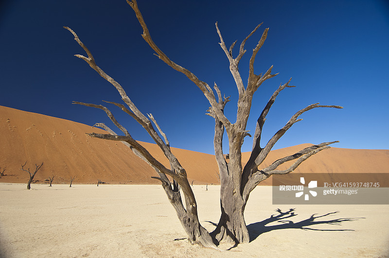 沙丘，索蘇斯韋萊，死谷，納米比亞圖片素材
