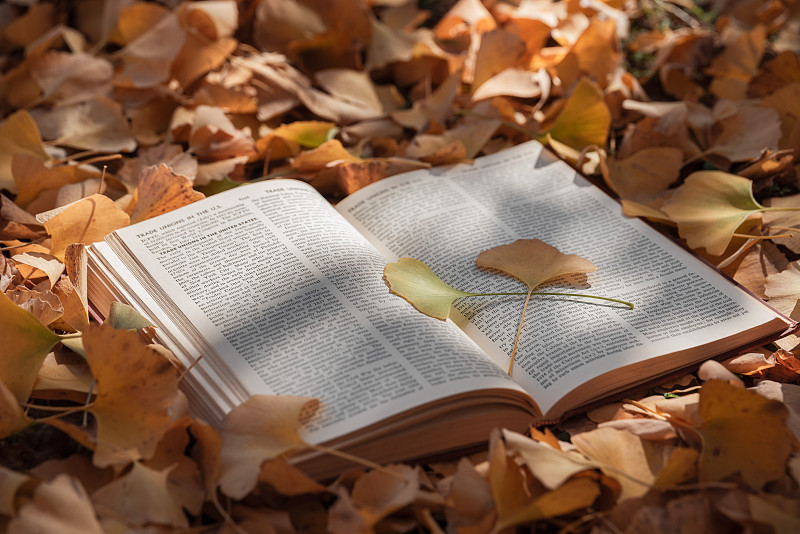 秋天落葉上的英文書籍圖片素材