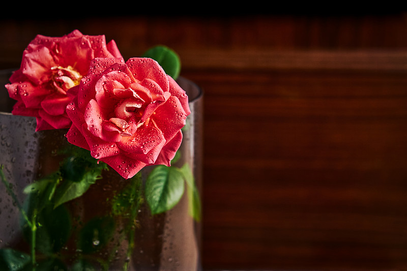玻璃花瓶里的粉紅玫瑰圖片素材