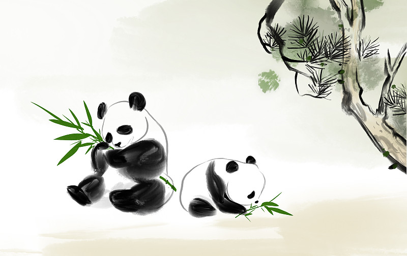春天熊貓插畫圖片