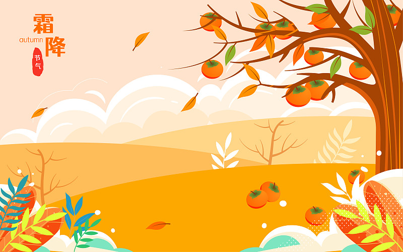 秋天摘柿子插畫霜降節氣親子游采摘果實海報圖片