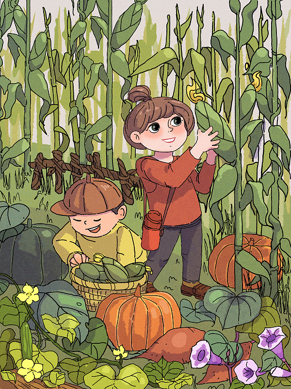 秋分秋收豐收節糧食日插畫圖片
