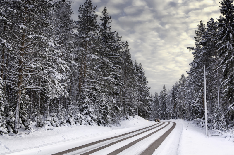 冬天下雪的路穿過常青的森林圖片素材
