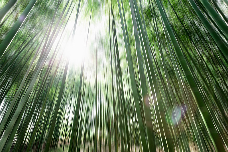 京都嵐山竹林模糊動態圖片素材