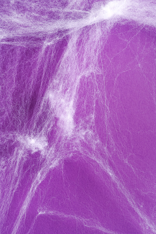 紫色背景上的白色蜘蛛網。萬圣節裝飾概念?？植篮涂植赖谋尘芭c復制空間為您的設計攝影圖片