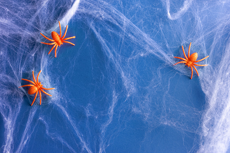萬圣節背景由白色蜘蛛網和橙色閃閃發光的蜘蛛在深藍色。節日裝飾的概念?？植篮涂植赖谋尘芭c復制空間為您的設計攝影圖片