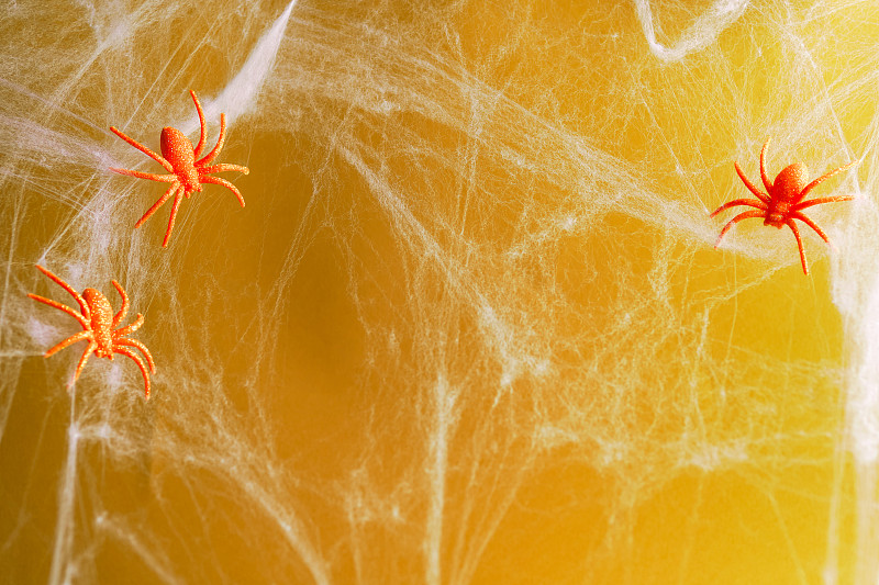 萬圣節背景由白色蜘蛛網和黃色閃閃發光的橙色蜘蛛制成。節日裝飾的概念?？植篮涂植赖谋尘芭c復制空間為您的設計攝影圖片