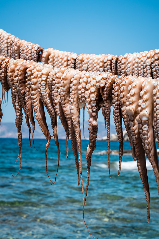 希臘，章魚觸手掛在海邊晾干攝影圖片