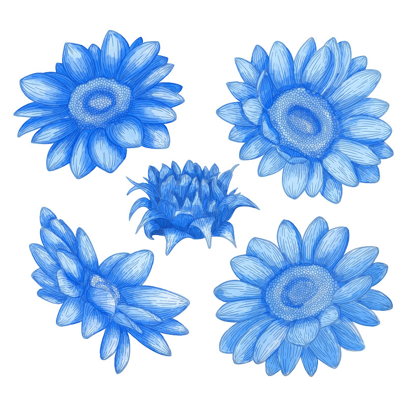 一套水彩花，藍色植物剪貼畫插畫圖片