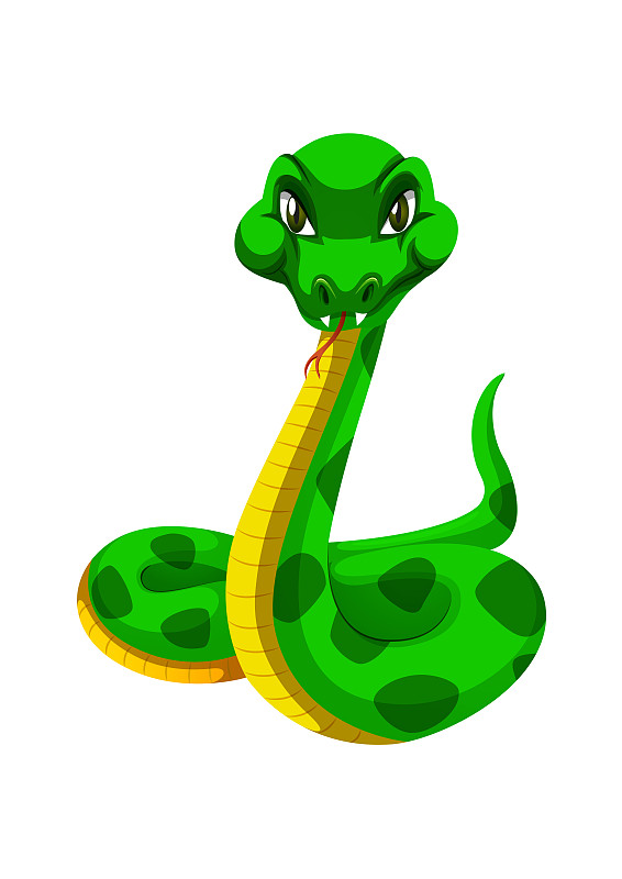 白底卡通綠蛇。向量的蛇插畫圖片