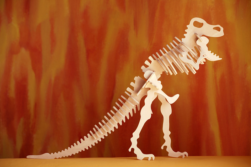 恐龍骨架,特寫圖片素材