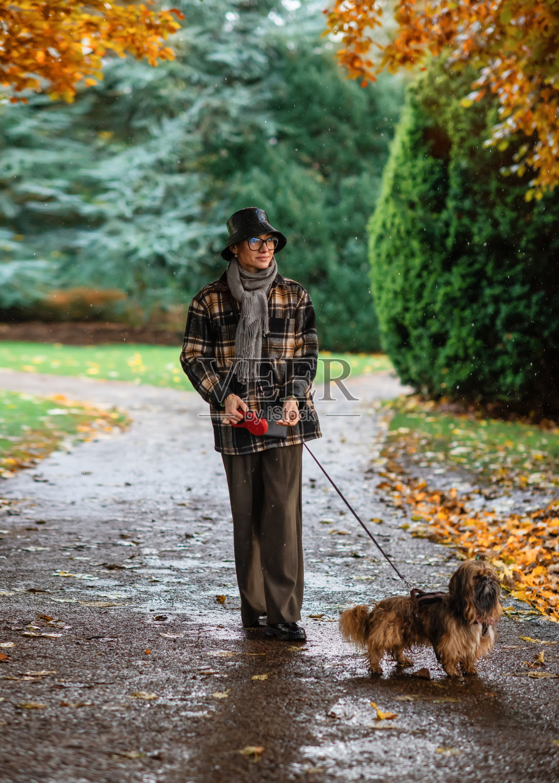 一个女人在阳光明媚的秋天公园里牵着西施犬散步照片摄影图片