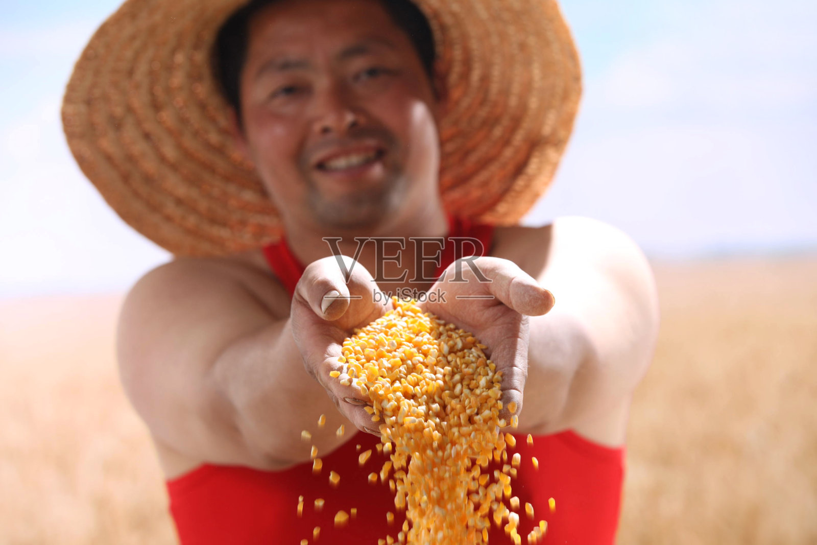 一个农民手捧玉米照片摄影图片