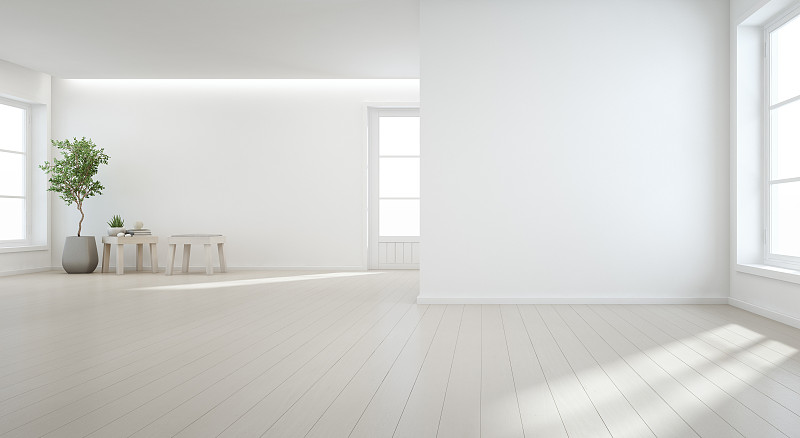 现代新住宅大房间白色背景木地板上的室内植物，空厅或自然光工作室的复古门窗图片下载