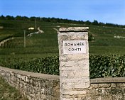 “罗曼尼”葡萄园，罗曼尼-孔蒂庄园，勃艮第图片素材