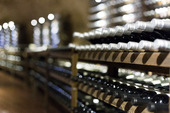 酒窖中排列的葡萄酒图片素材