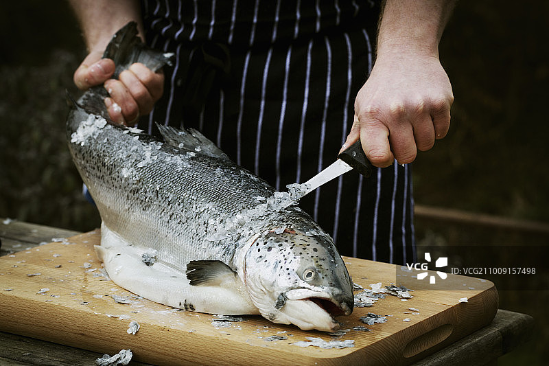 厨师剥鲜鱼的特写镜头。图片素材