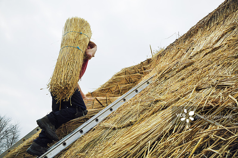 撒切尔拿着一根稻草爬上屋顶。图片素材