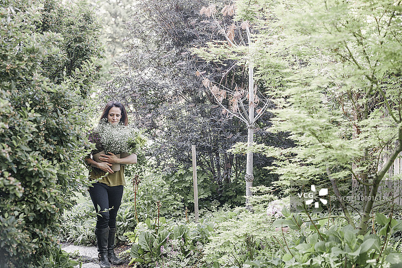 一个女人拿着一大束花穿过花园。图片素材