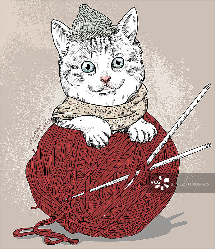 猫在红羊毛球上用针图片素材