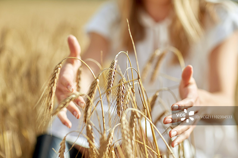 国家，自然，暑假，农业和人的概念-近距离年轻妇女的手触摸在谷物田的小穗图片素材