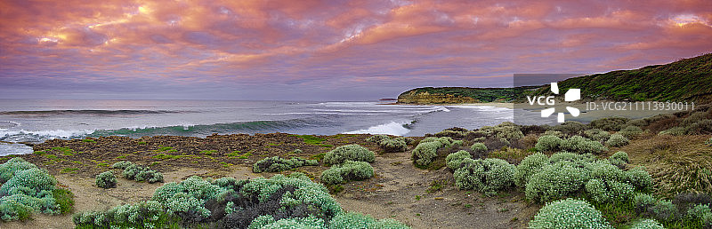 澳大利亚维多利亚州的贝尔海滩全景图片素材