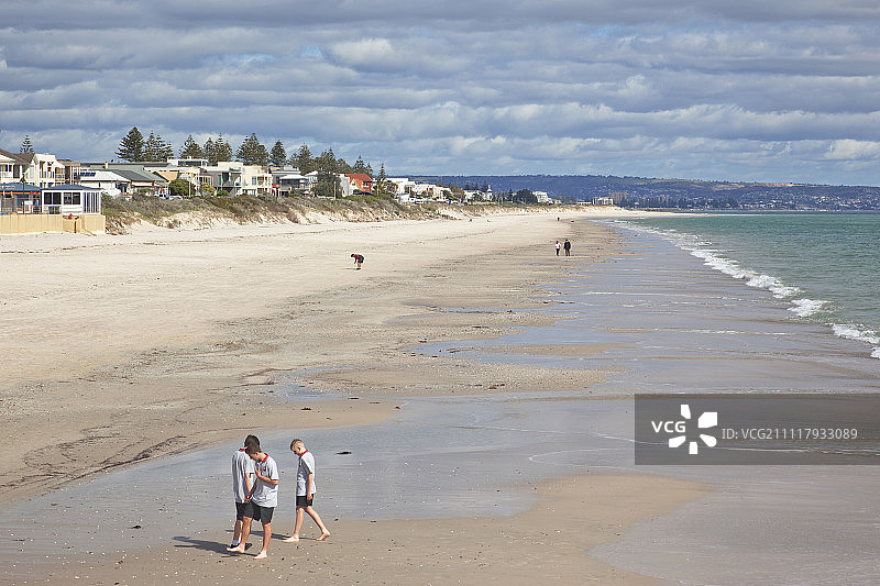 生活在亨利海滩，阿德莱德，南澳大利亚图片素材