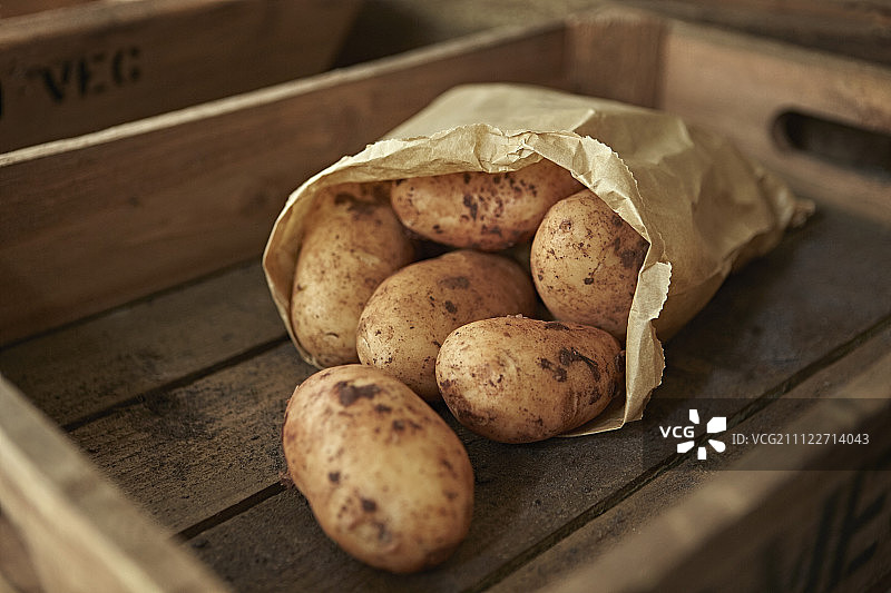 静物近乡村新鲜，有机，健康脏土豆袋在木箱图片素材