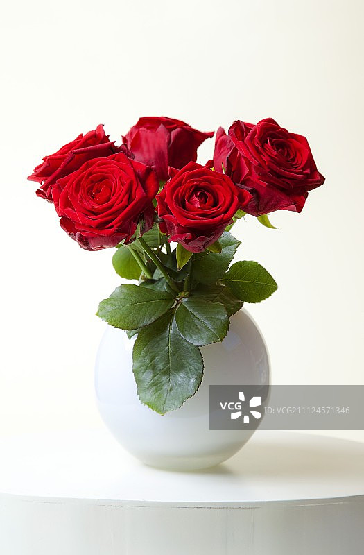红色玫瑰在白色花瓶的特写图片素材