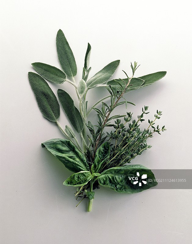 新鲜的香草，如百里香，迷迭香和鼠尾草白色背景图片素材