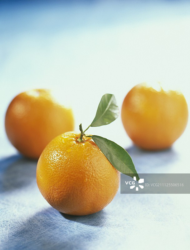 柑橘图片素材