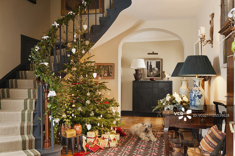 传统乡村别墅的开放式门厅，装饰有圣诞树和楼梯栏杆上的花环图片素材