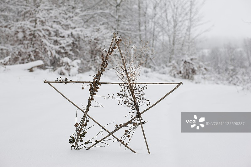 在雪景中，用干花和落叶松球果装饰的小树枝制成的星星图片素材