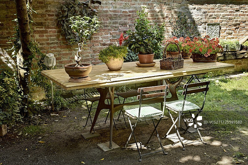 庭院砖墙前木桌和简易折叠椅上种植盆栽图片素材