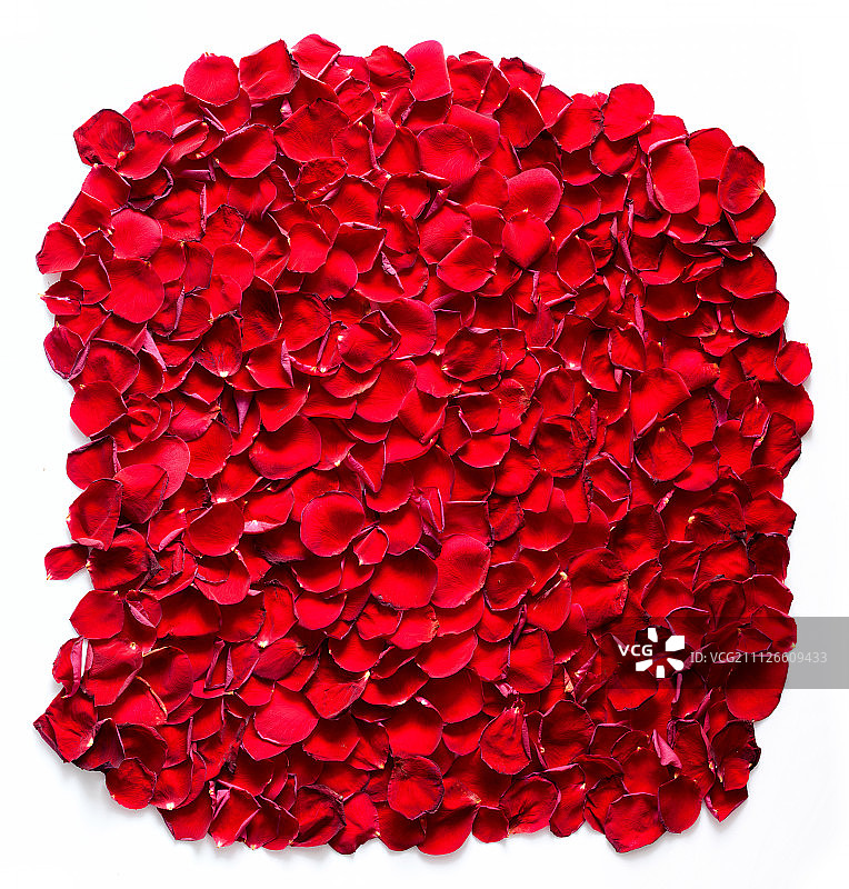 红玫瑰花瓣背景，图案。图片素材