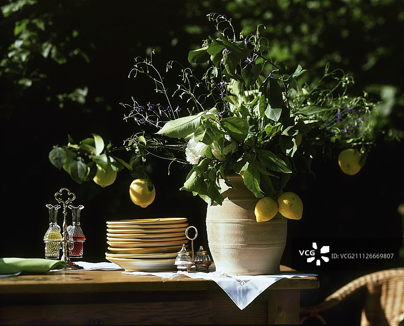 自助餐桌上陶土花瓶里的柠檬花束图片素材