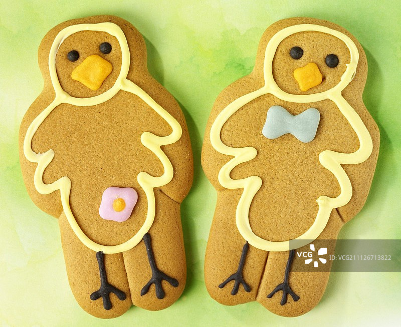 复活节吃两块鸟饼干图片素材