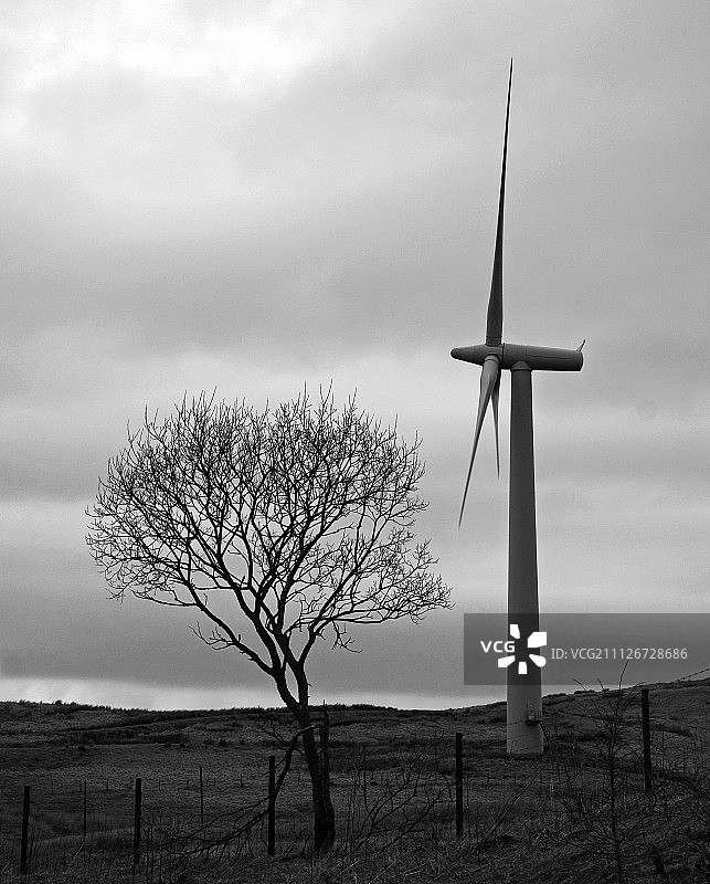 树木和涡轮机，由Nrupen Madhvani图片素材