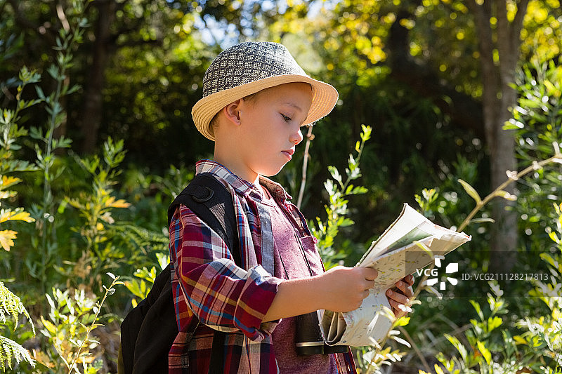 在一个阳光明媚的日子里，一个男孩在森林里看地图图片素材