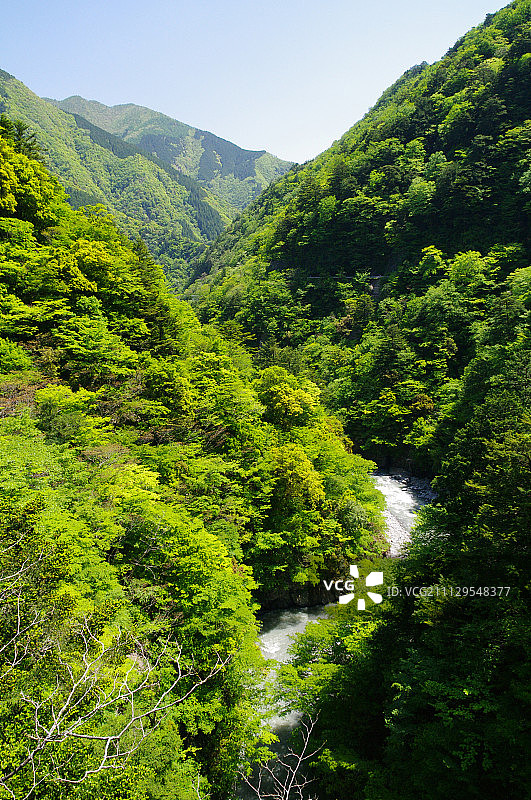 深v形的苏门答腊山谷和苏门答腊峡谷，日本静冈县图片素材
