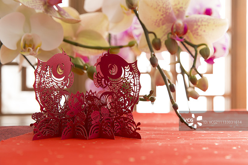 中国传统新年剪纸及花卉图片素材