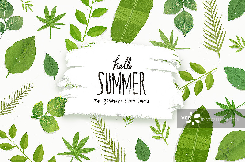 书法,夏天,树叶图片素材