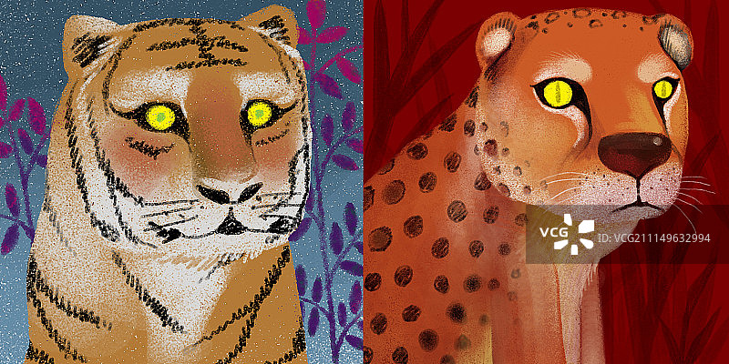 动物插画系列作品共3000幅-老虎和猎豹图片素材