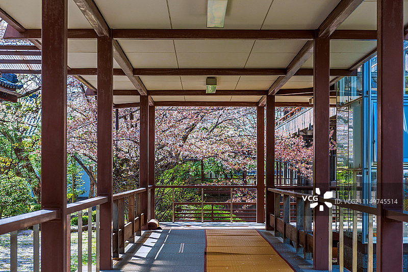 日本传统庭院图片素材