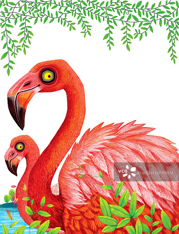 动物插画系列作品共3000幅-火烈鸟插画组图-友谊图片素材