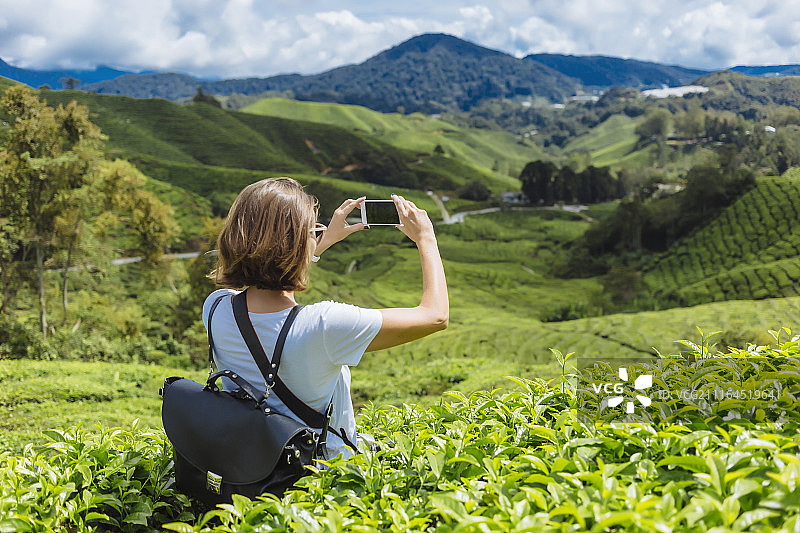 后视图腰部以上的女性游客拍照的茶园与智能手机，卡梅伦高地，马来西亚图片素材