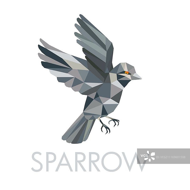 一个麻雀的低多边形风格的插图，一个小雀形目鸟飞行与文字以下麻雀“孤立的背景。麻雀文本低多边形”图片素材