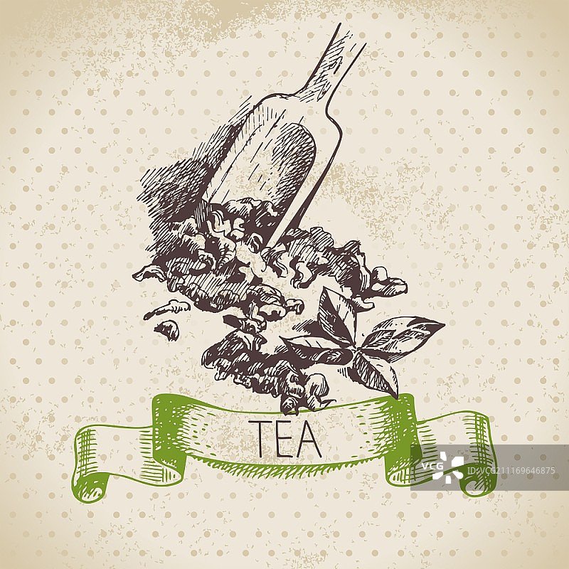 茶的背景。手绘草图。菜单设计图片素材