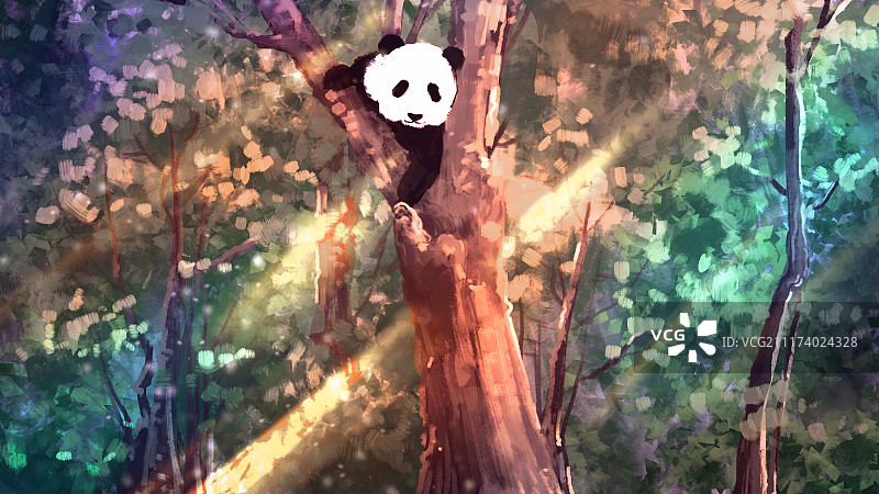 树上的熊猫图片素材