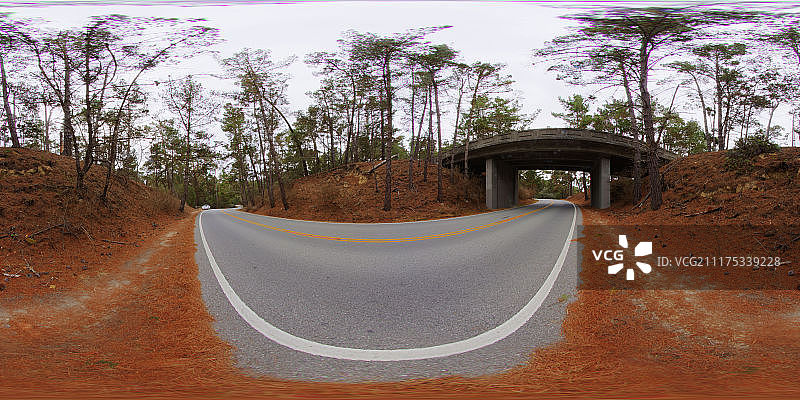 360°HDRI显示了一个乡村公路桥下和松树在美国图片素材